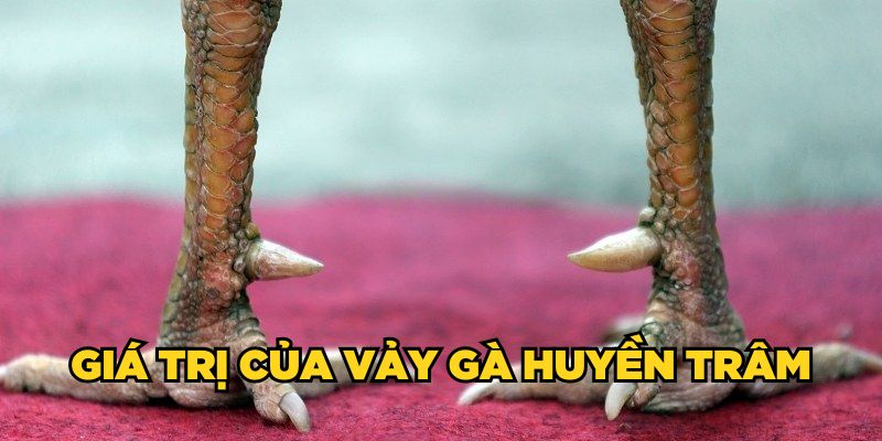 Giá trị của vảy gà huyền trâm